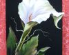 Calla  #  Oel auf schwarzem Acrylgrund, Leinwand, Keilrahmen, 110,- €, mit aufgemaltem Rand, 40x50cm, versiegelt